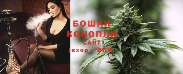 ECSTASY Бородино