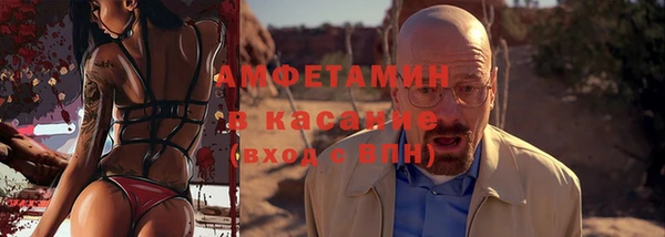 ECSTASY Бородино
